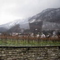 Виноградники Лихтенштейна