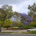 Дорога в Arboretum Los Angeles (ботанический сад), Лос-Анжелес, Калифорния, США
